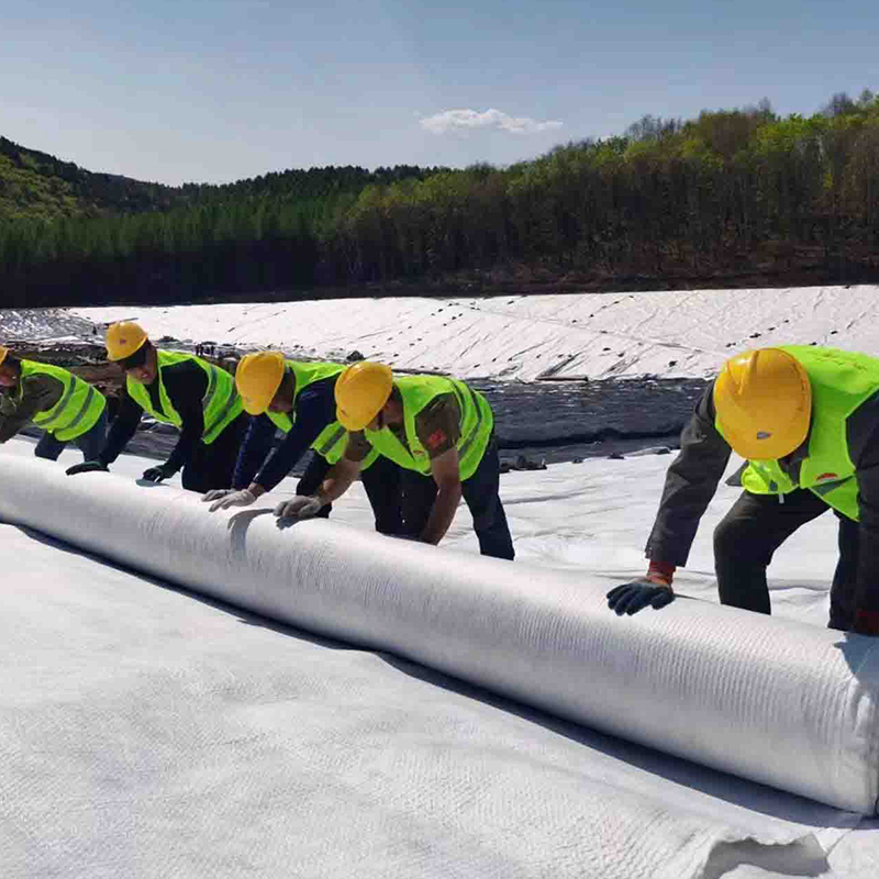 HDPE three-dimensional composite geotechnical drainage network