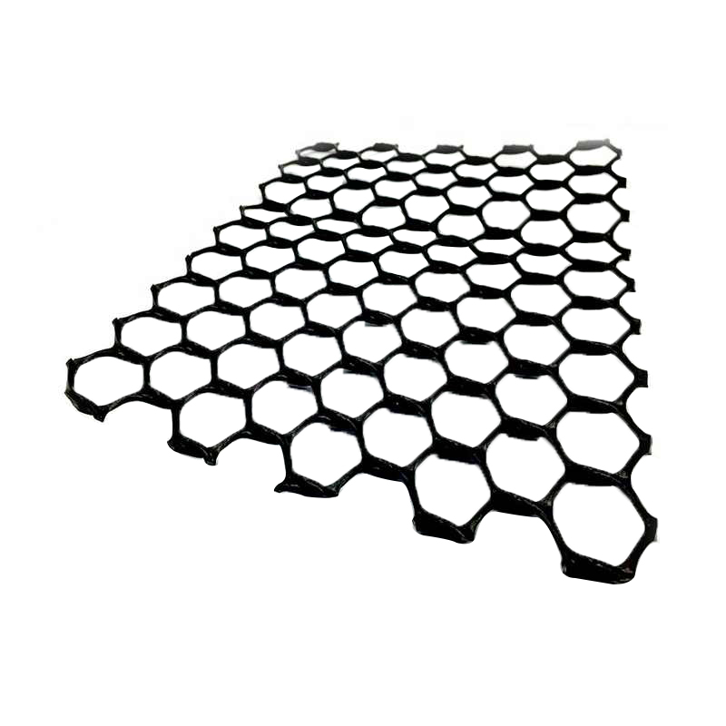 Drainage Geonet Used for Grass Planting Coastal Engineering