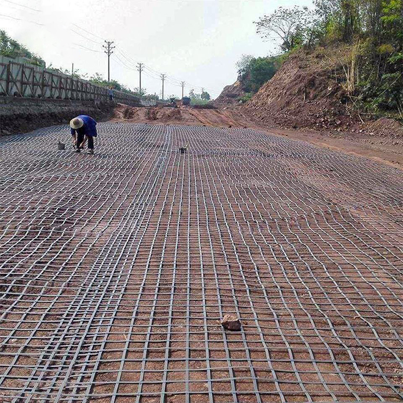 Reinforced HDPE geonet with UV resistance for road infrastructure construction