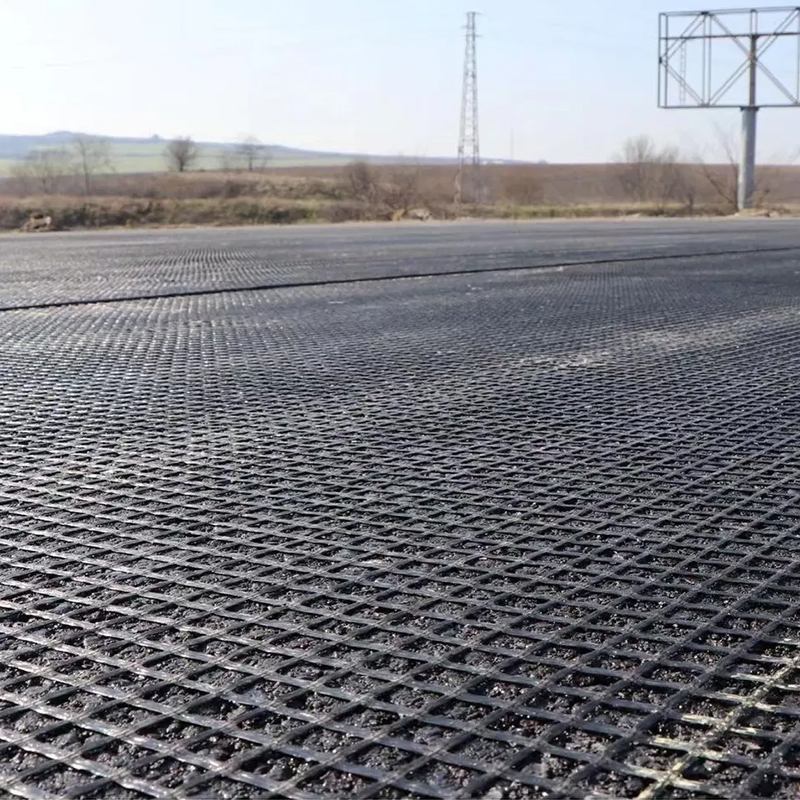 pp pet fiberglass biaxial and uniaxial geogrid factory for Soil retaining wall
