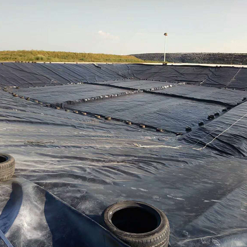0.5mm to 2.8mm Hdpe smooth geomembrane anti leakage tear resistance fish pond liner