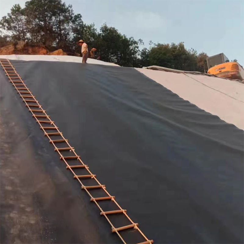 Dingrun 1mm 2mm 3mm HDPE pe Geomembrane hdpe lining for ponds