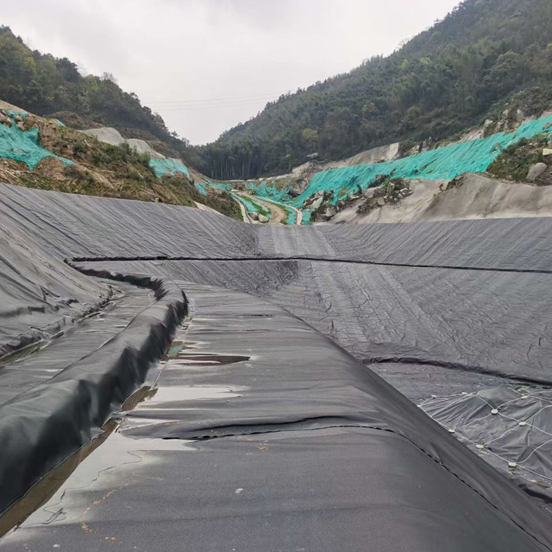 HDPE LDPE LLDPE PVC Waterproof pe Geomembrane Manufacturer Pond Liner