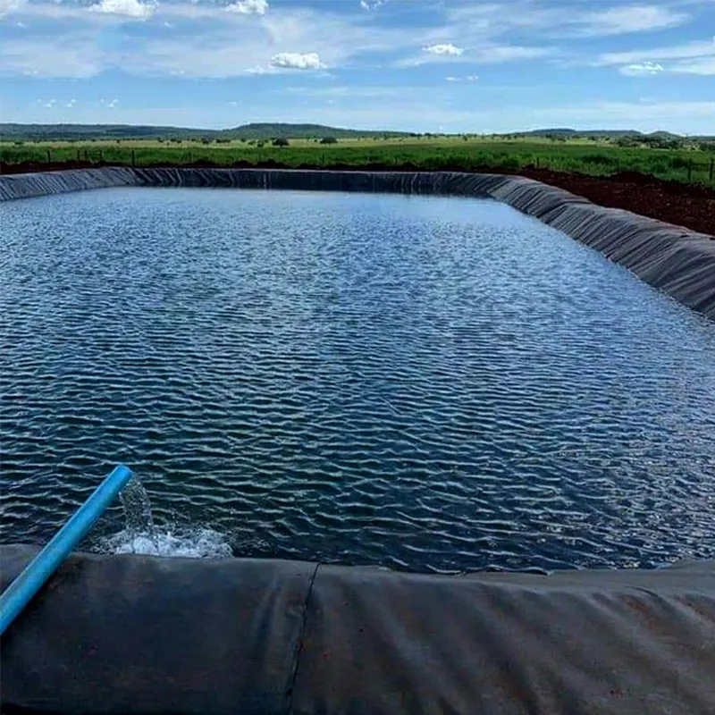 HDPE LDPE LLDPE PVC Waterproof pe Geomembrane Manufacturer Pond Liner