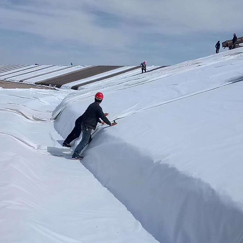 PET 100g-800g Aging resistance filament geotextile geotextile supplier polyester geotextile
