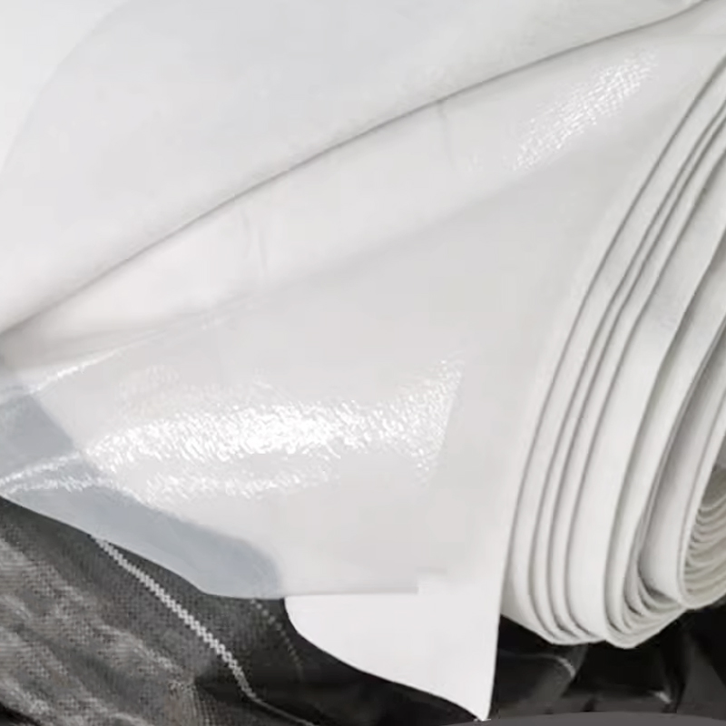 Factory direct sale HDPE Composite epdm geomembrane and nonwoven geotextile for landfill