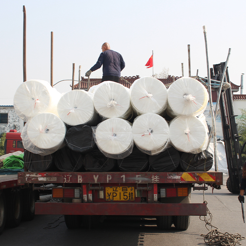Factory direct sale HDPE Composite epdm geomembrane and nonwoven geotextile for landfill