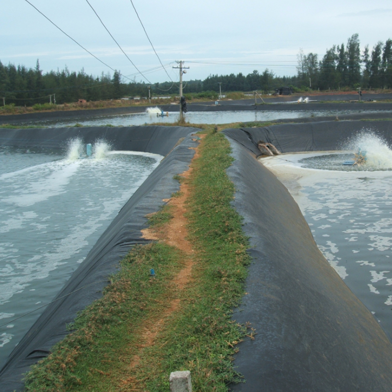 Pond HDPE Lining 0.2 - 3.0mm Thick ECB/HDPE Geomembrane Factory Price