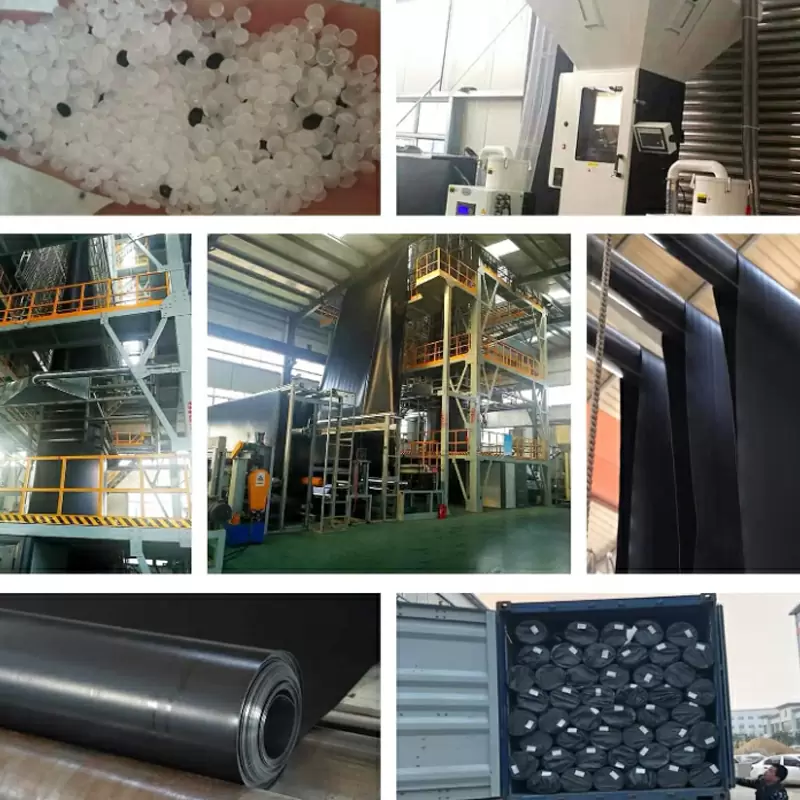 Fish farm waterproof material ECB/HDPE/pe Geomembrane pond liner with cheap price