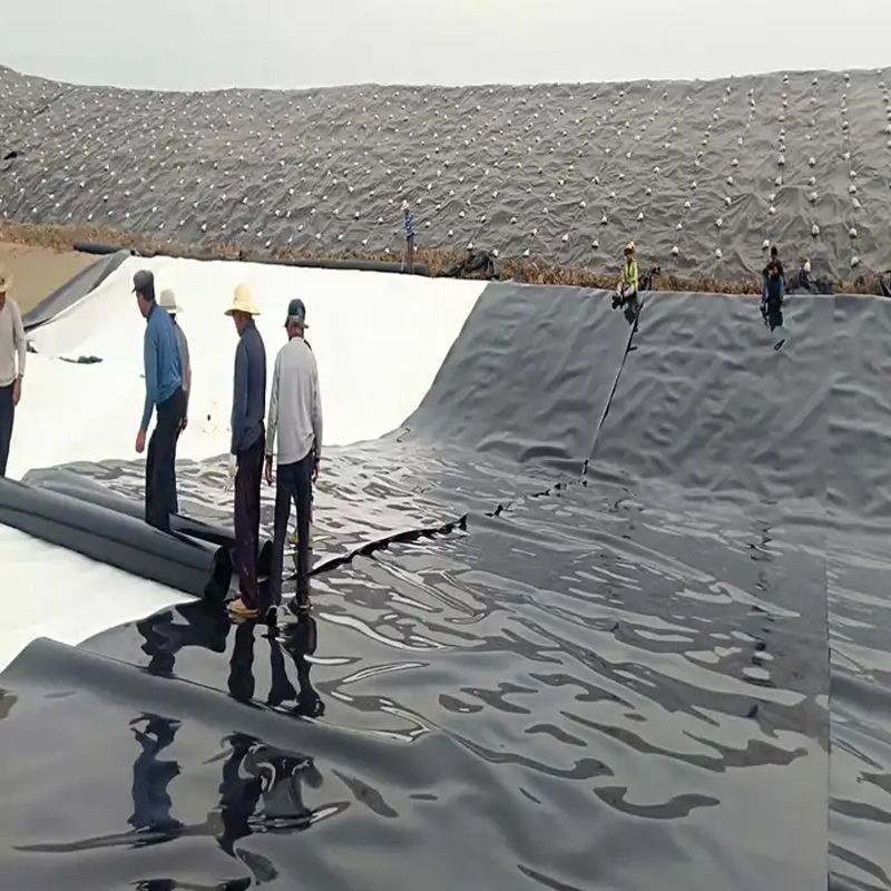 Fish farm waterproof material ECB/HDPE/pe Geomembrane pond liner with cheap price