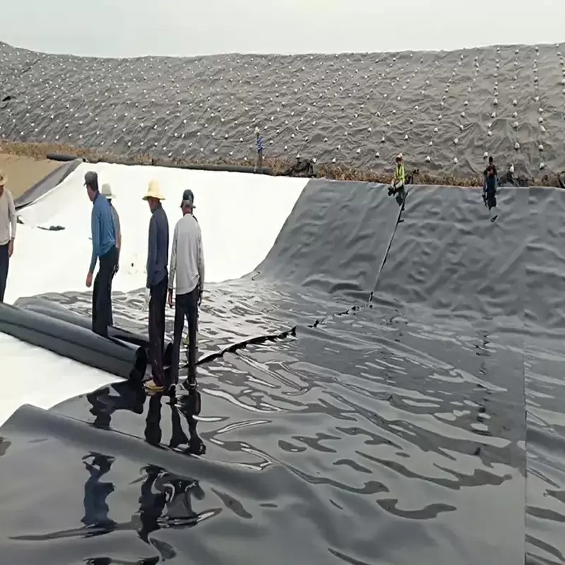 Fish farm waterproof material ECB/HDPE/pe Geomembrane pond liner with cheap price