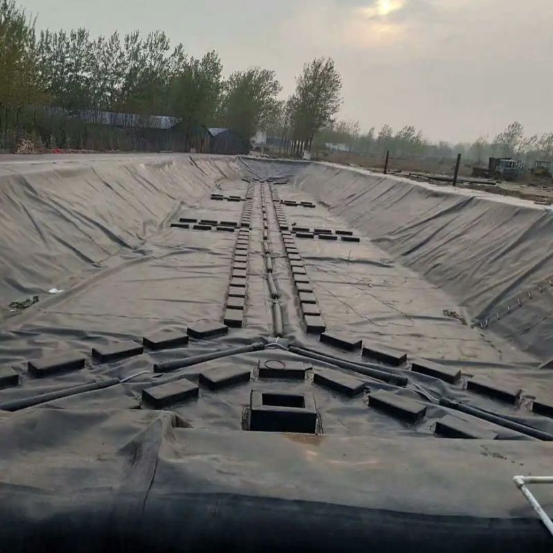 ECB/HDPE/LLDPE plastic geomembrane lined with anti-seepage geomembrane
