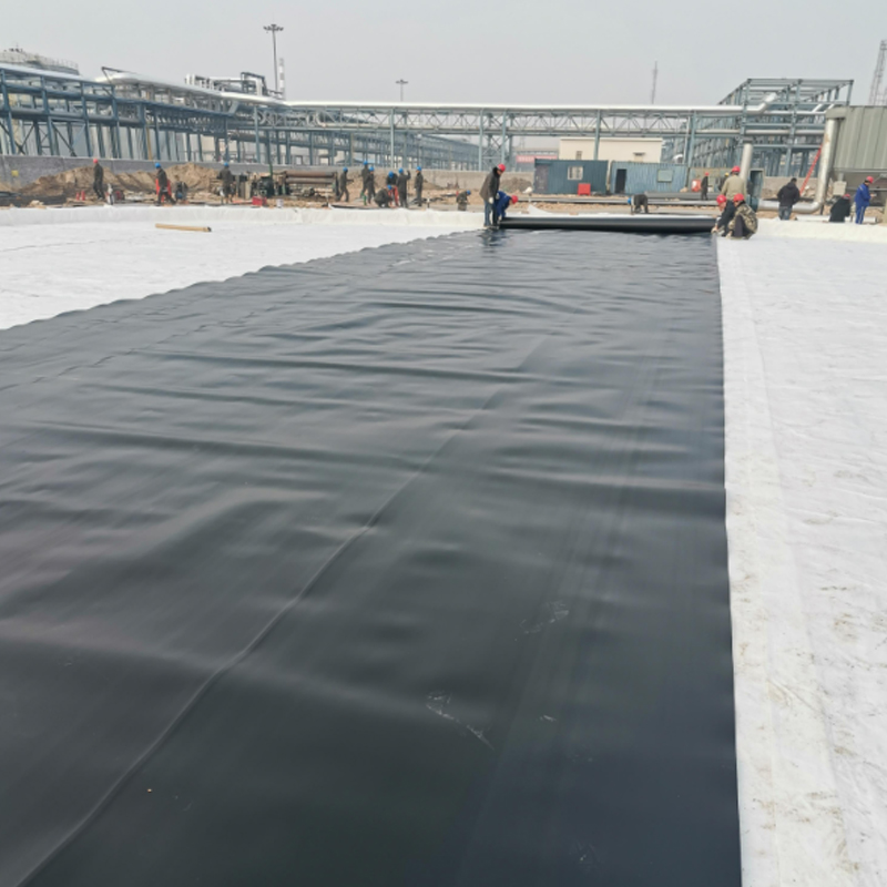 ECB/HDPE geomembrane is used for high quality pond lining epdm geomembrane in fish