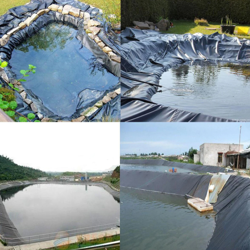 ECB/HDPE geomembrane is used for high quality pond lining epdm geomembrane in fish