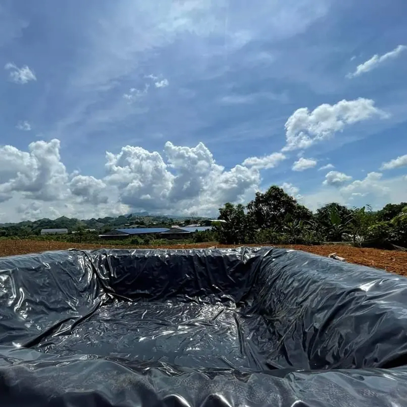 LLDPE LDPE 2mm Hdpe Geomembrane liner for Dam Liner Landfill Mining Water Reservoir Liner