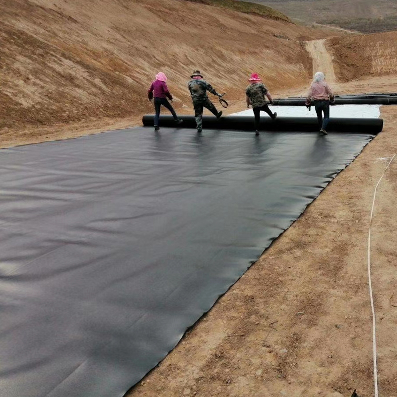 HDPE LLDPE Rolls Agriculture Irrigation Geomembrane 1mm HDPE hdpe pond liner