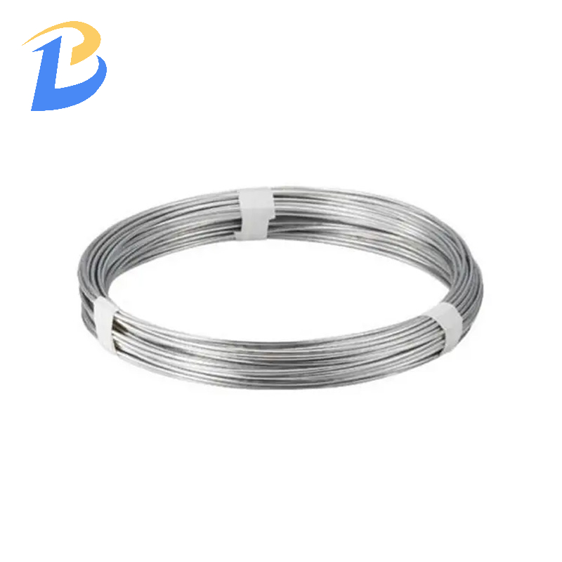Stainless Steel Wire