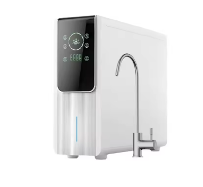 Direct drinking water filter