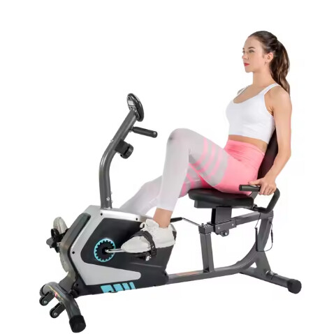 Recumbent Bike