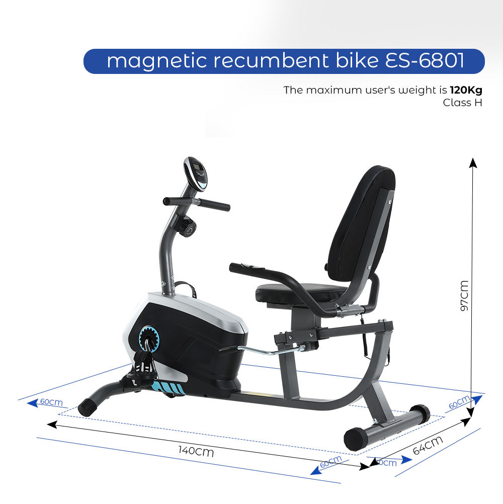 Recumbent Bike