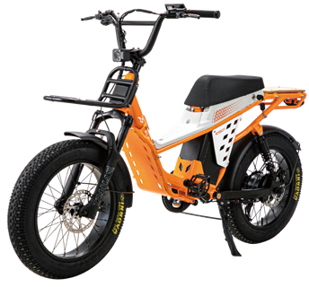 Fat Tire Electric Bike - 80-120 Miles Range, 20×4.0 Tires