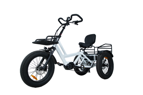 Home Leisure Electric Tricycle - 130km Range, 200kg Payload