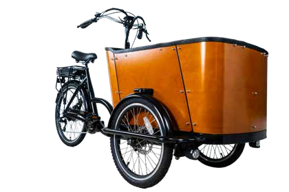 Leisure Electric Cargo Trike | Fast Charge & 60km Range