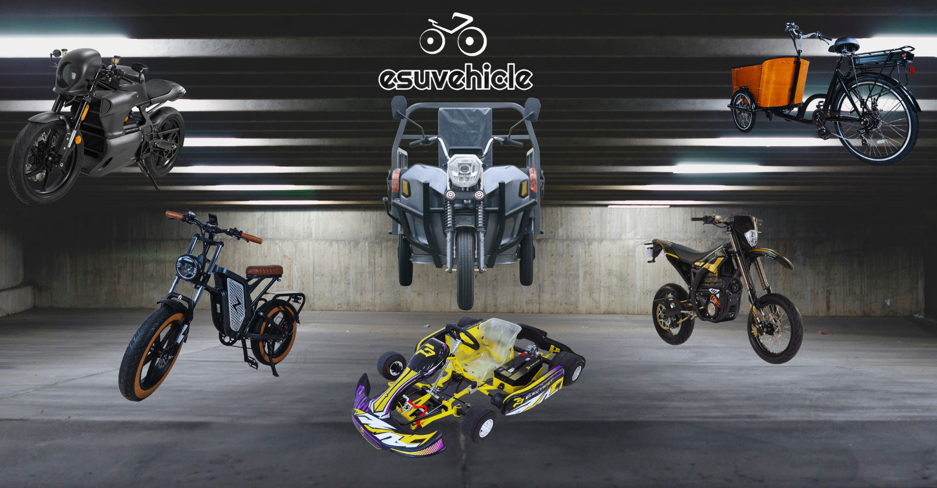 ESU 3