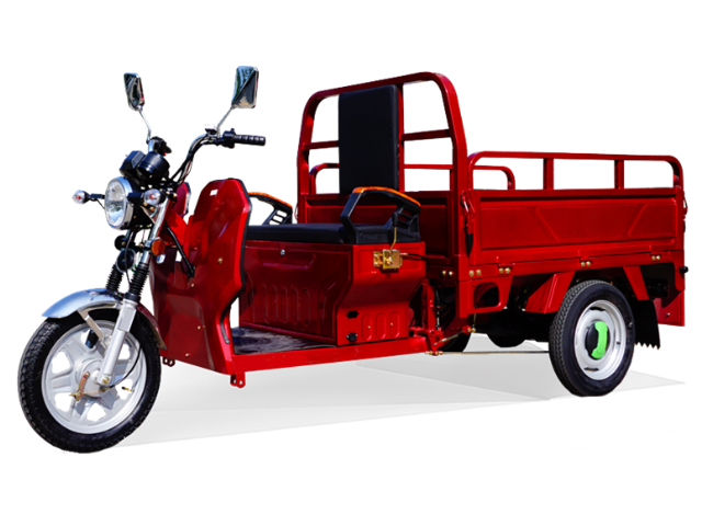 JIN GANG 1500W Electric Cargo Tricycle - 1000kg Load