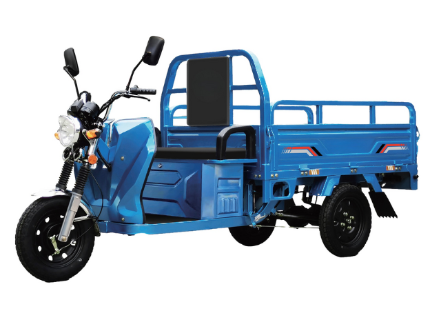 Electric Cargo-Commuter Tricycle | 1200W Motor, 80-100km Range