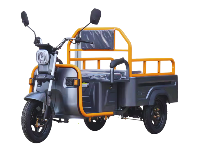  500W Electric Cargo Tricycle - 30km/h, 50-60km Range for Daily Use