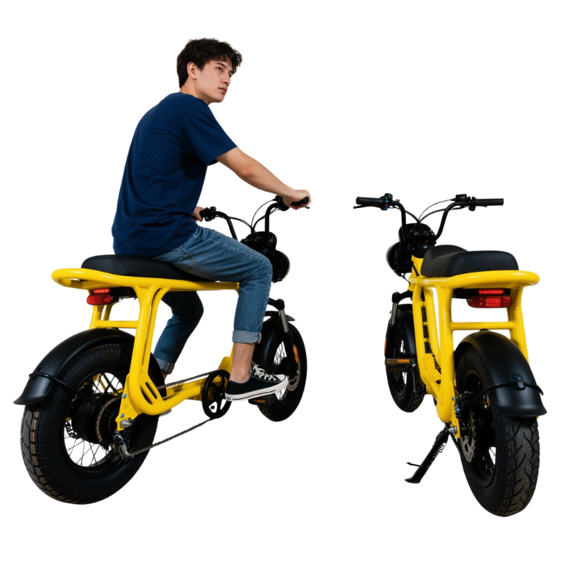 ESU ebike
