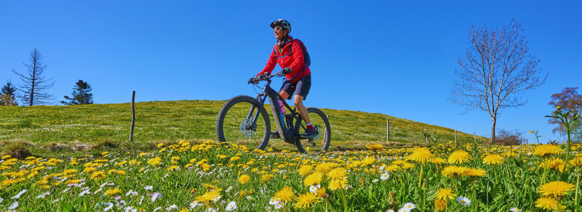 what is a ebike 1
