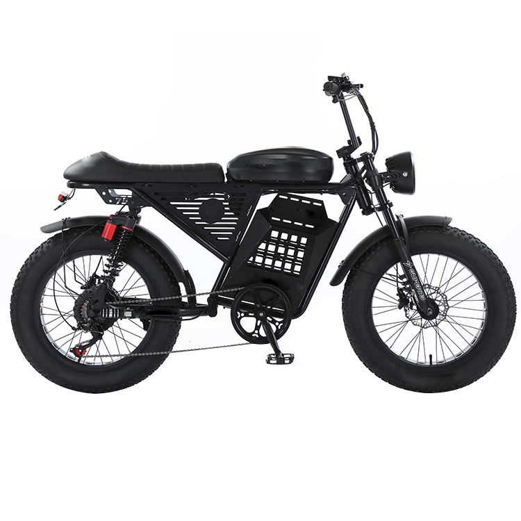 35KM/H 500W Electric Bicycle-Standard Configuration(RXS)