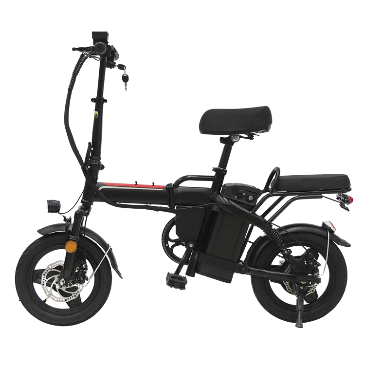 Foldable High Carbon Steel E-Bike with Lithium Battery