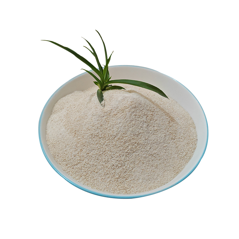 Xanthan Gum (Industrial grade)