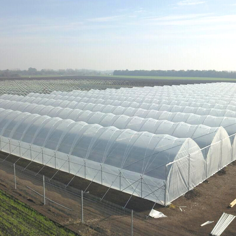 Plastic film for greenhouses