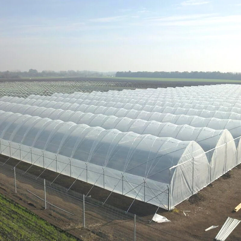 Plastic film for greenhouses