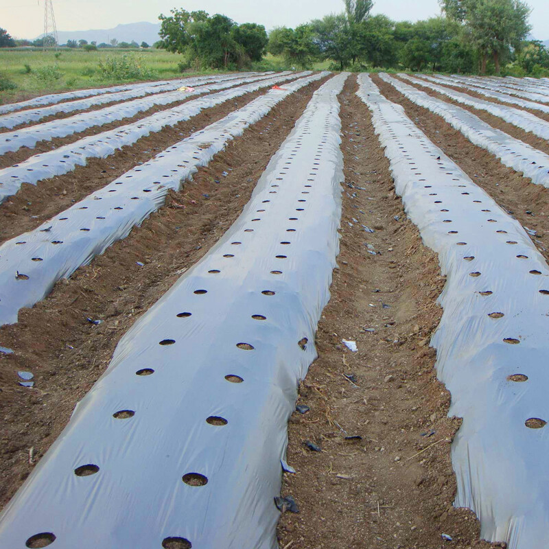 Agricultural silver black mulch film, weed control film, black weed control film