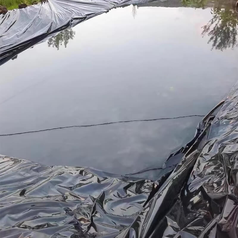 Pond Liner