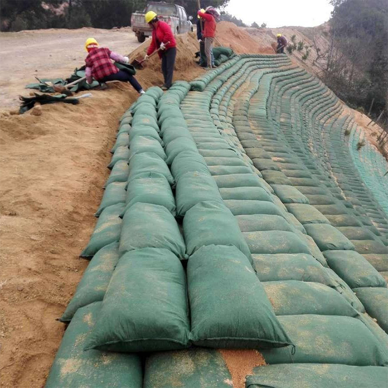 100% PET PP Non Woven Geotextile Fabric Geo Bag for River Bank