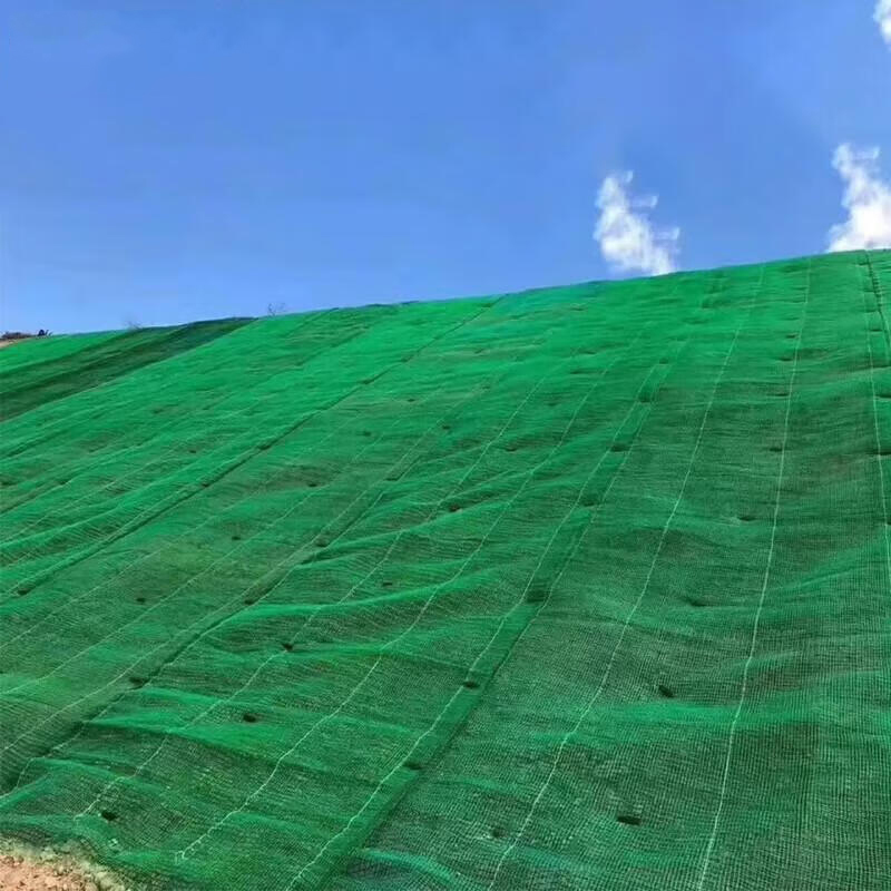 Three Dimensional Geomat Slope Protection Net 3D Green Grass Geo Mat