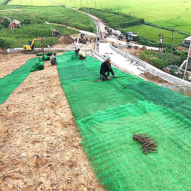 Geomat erosion control mat Slope Protection Net 3D geotextile