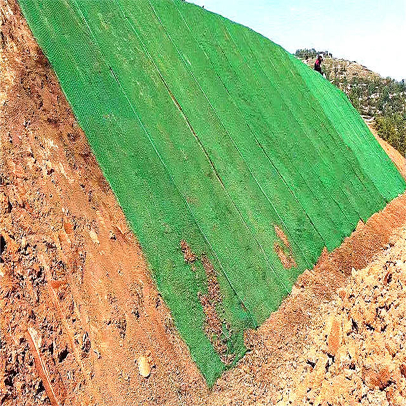Geomat erosion control mat Slope Protection Net 3D geotextile