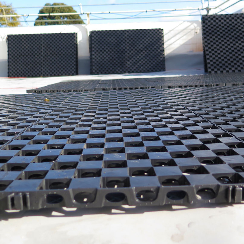 Eco-friendly Construction Waterproof Plastic Sheet HDPE Drainage Board Dimple Membrane Drain Mat