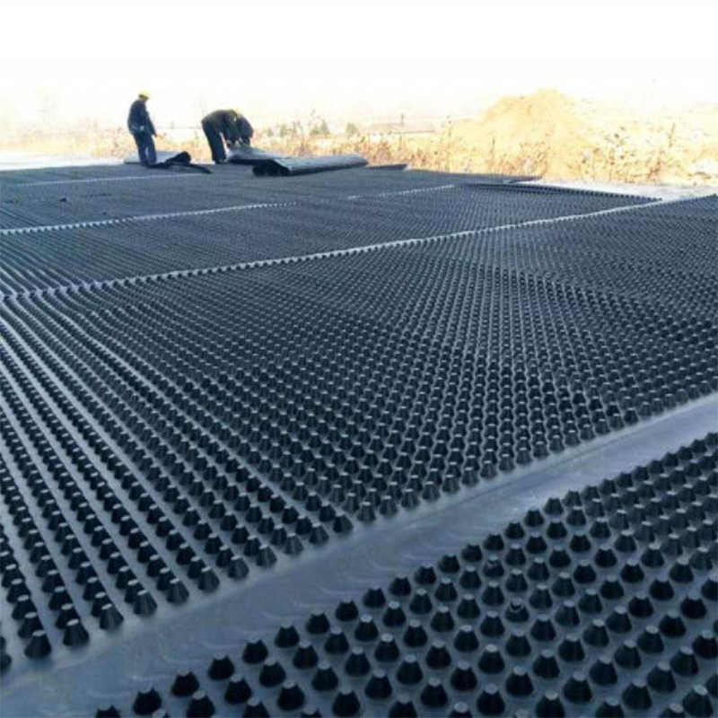 Eco-friendly Construction Waterproof Plastic Sheet HDPE Drainage Board Dimple Membrane Drain Mat