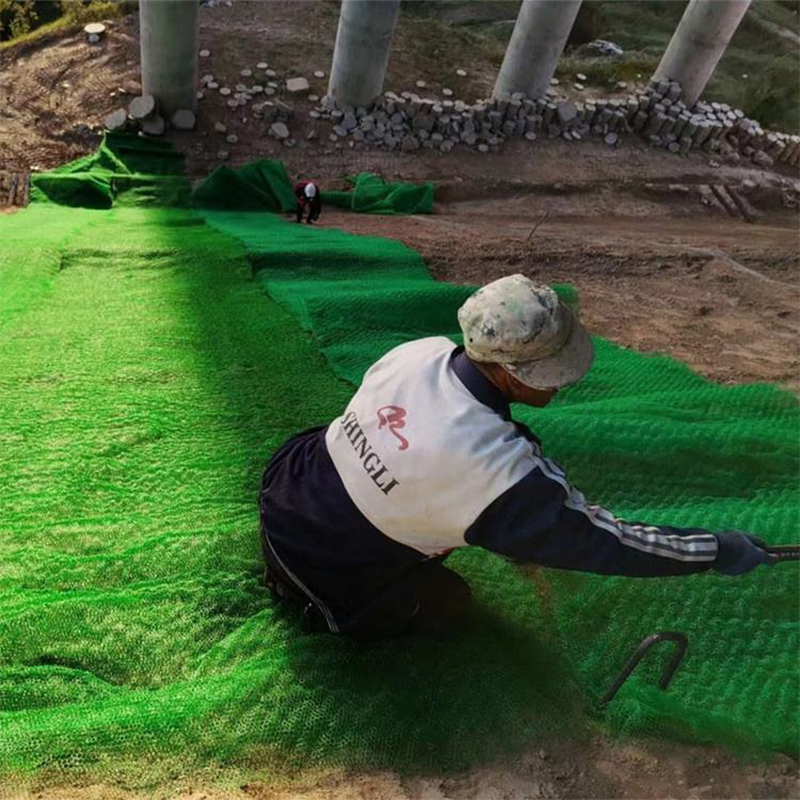 3D plastic vegetation geonet machine erosion control blanket mat 3d geonet