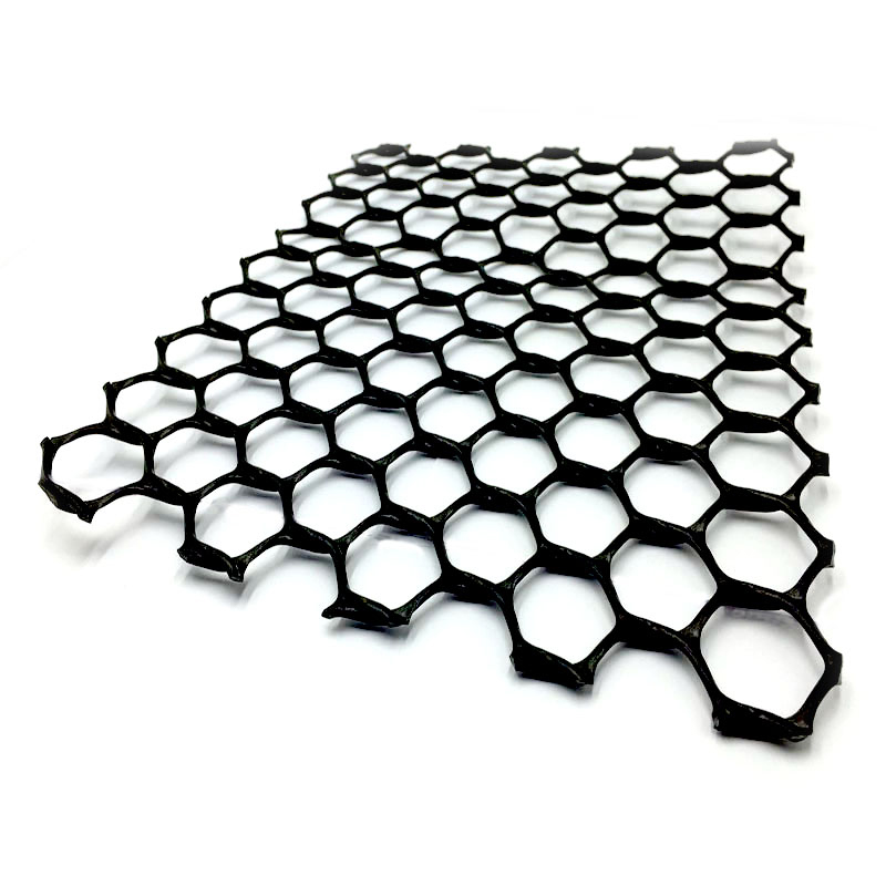 Grid geonet for dam slope protection