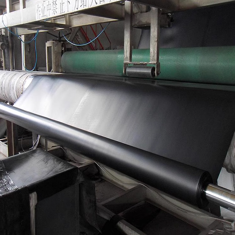 Hdpe /ldpe /lldpe Geomembrane/pond Liner