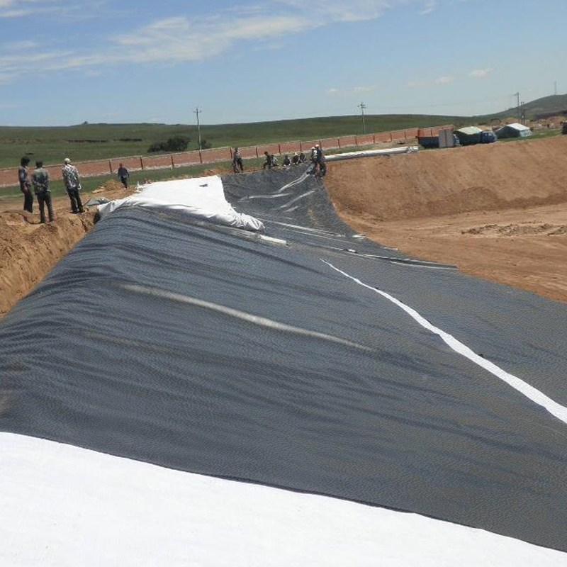 Factory supply HDPE ASTM standard waterproof rough surface geotextile film for pond HDPE lining